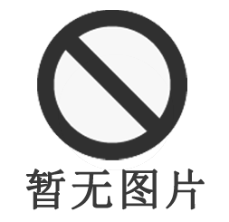 QD-60S上海八寶茶包裝機